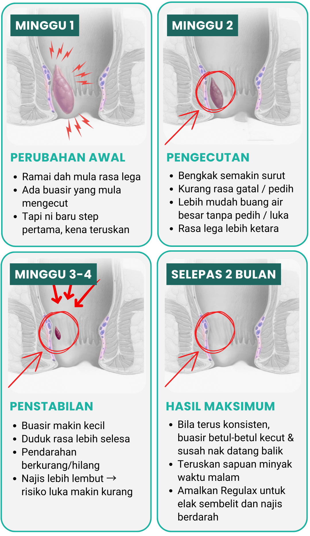 Fasa rawatan Dual-Therapy Ar-Rizqi sepanjang 2 bulan