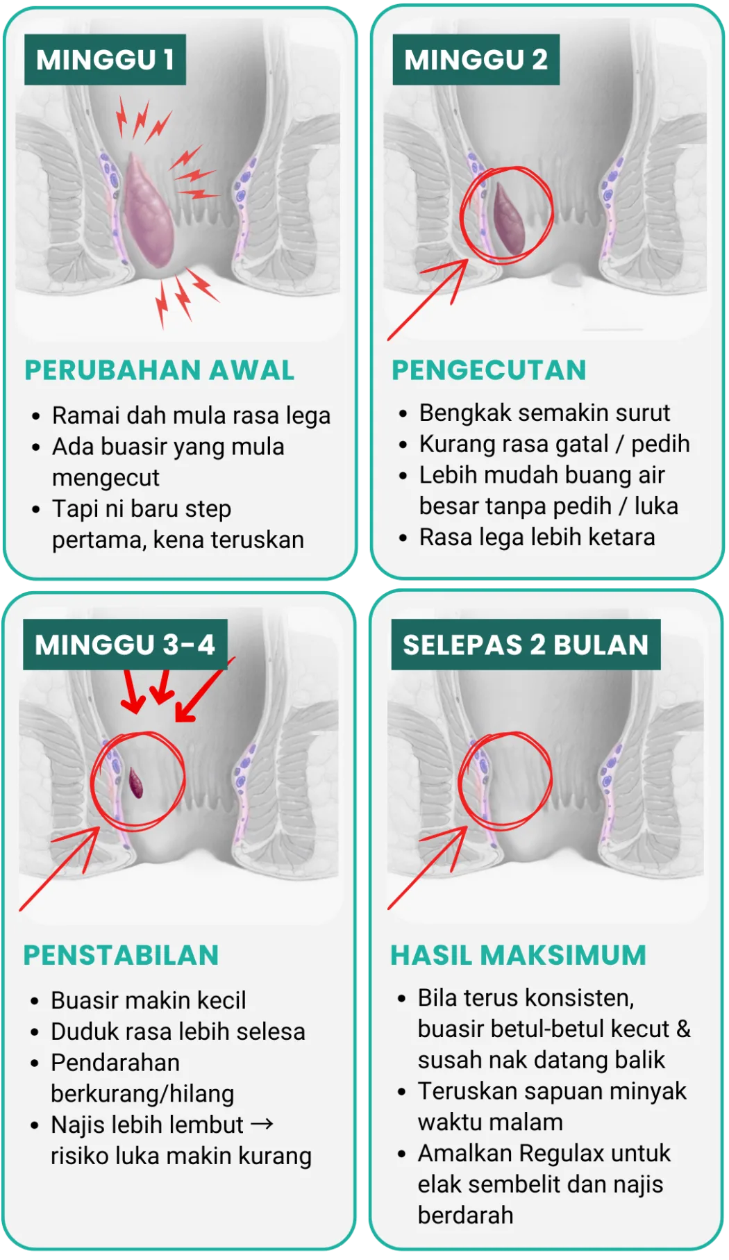 Fasa rawatan Dual-Therapy Ar-Rizqi sepanjang 2 bulan