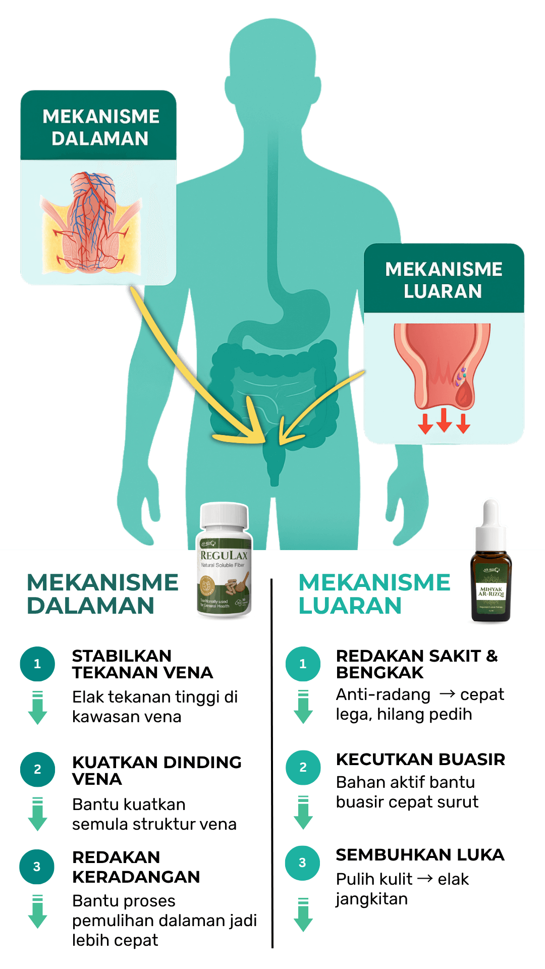 Mekanisme dual-therapy buasir: dalaman (Regulax) dan luaran (Minyak Ar-Rizqi)